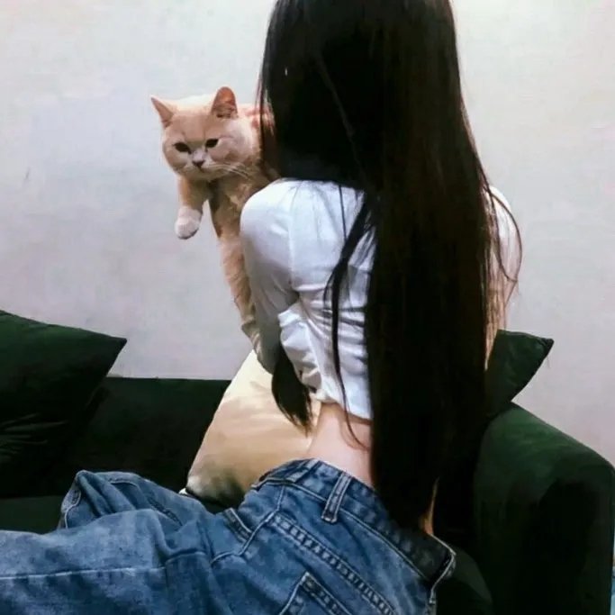 帕罗奥图年少